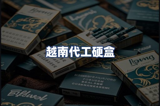 越南代工硬盒